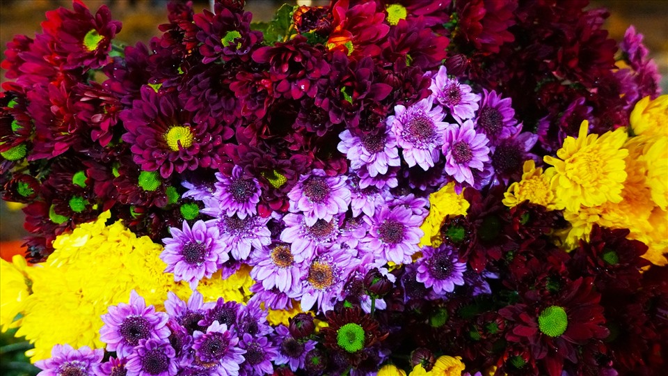 Các sạp hoa đều đang bày bán những bó hoa đẹp nhất và tạo nên sức hấp dẫn của chợ hoa Quảng Bá. Không chỉ có cúc và đào, chợ còn rất nhiều loại hoa khác như hoa hồng, lay-ơn, thược dược, vi-ô-lét…