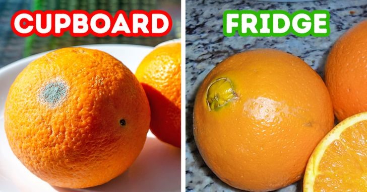 6. Cam quýt Chúng ta  có thể bảo quản cam, bưởi và các loại trái cây họ cam quýt khác từ khoảng 2 - 3 tuần trong tủ lạnh. Nếu bảo quản ở nhiệt độ phòng đối với cam quýt chỉ được trong khoảng 10 ngày.