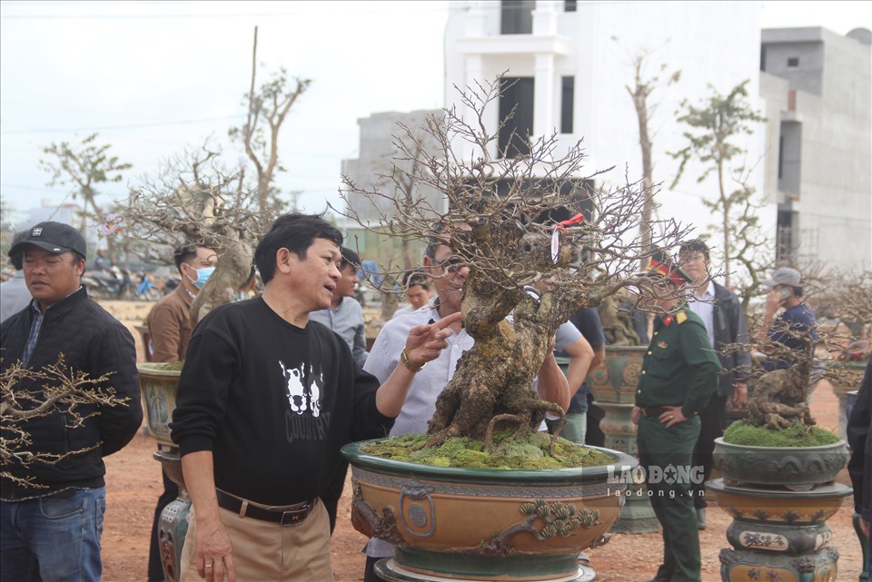 Ông Mai Xuân Tiến – Phó Chủ tịch UBND thị xã An Nhơn cho hay, việc tổ chức Hội thi mai vàng An Nhơn lần thứ 2 năm 2021, nhằm tạo điều kiện cho các nghệ nhân ở các làng mai của thị xã cùng nhau tranh tài, sáng tạo các tác phẩm mai cảnh cho công chúng thưởng thức.