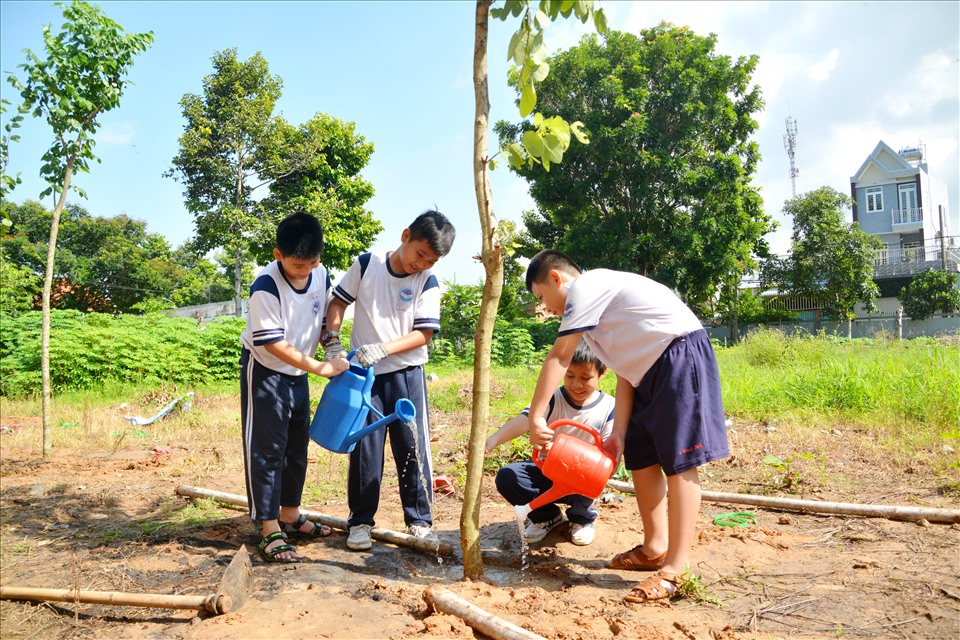 Các em học sinh tại các tỉnh thành tham gia dự án trồng cây đô thị. Ảnh: Green Việt