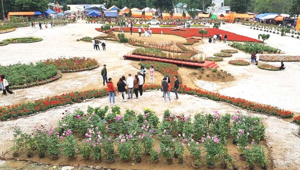 Trước đó, dịp Tết Canh Tý 2020, một vườn hoa cũng được tạo nên ngay trước lối vào của Khu Di tích lịch sử và thắng cảnh Phủ Na, thu hút đông đảo khách thăm quan. Ảnh: Quách Du