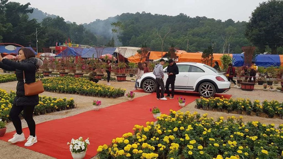 Trước đó, dịp Tết Canh Tý 2020, một vườn hoa cũng được tạo nên ngay trước lối vào của Khu Di tích lịch sử và thắng cảnh Phủ Na, thu hút đông đảo khách thăm quan. Ảnh: Quách Du