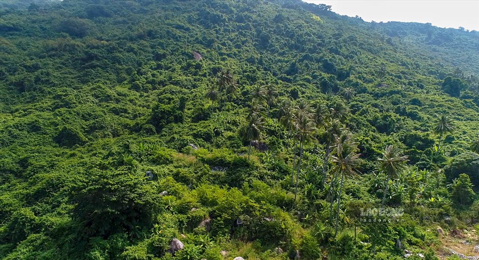 Dân cư trên đảo tập trung chủ yếu ở xóm chài và nông nghiệp chủ yếu là những vườn cây ăn trái, còn lại diện tích chiếm 80% là rừng nguyên sinh với ít cây cổ thụ, nhiều cây nhỏ và dây leo.