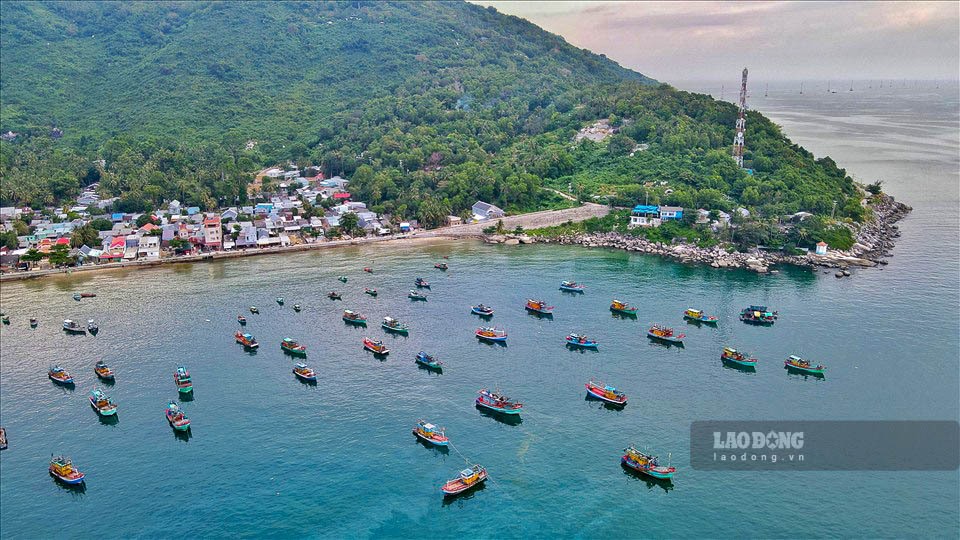 Dân cư trên đảo tập trung chủ yếu ở xóm chài và nông nghiệp chủ yếu là những vườn cây ăn trái, còn lại diện tích chiếm 80% là rừng nguyên sinh với ít cây cổ thụ, nhiều cây nhỏ và dây leo.