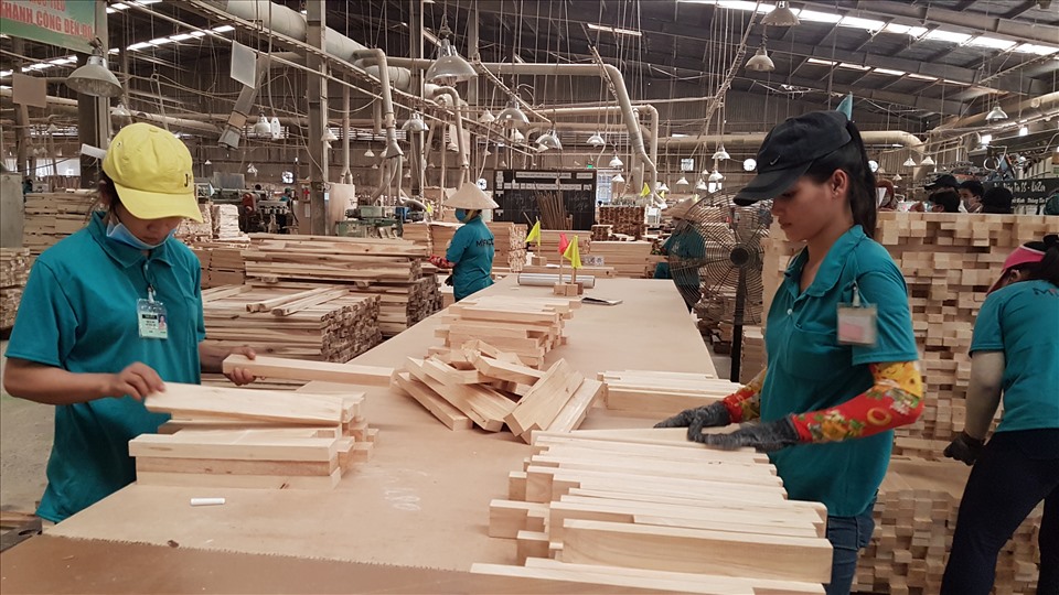 Doanh nghiệp chế biến, xuất khẩu gỗ đã vượt qua COVID-19, duy trì việc làm cho người lao động, đảm bảo đơn hàng xuất khẩu. Ảnh: Vũ Long