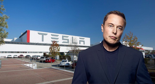Dù toàn cầu đang gánh chịu tác động tiêu cực từ dịch COVID-19, tuy nhiên dưới sự dẫn dắt tài tình của Elon Musk, cổ phiếu của hãng xe điện Tesla vẫn có một năm tăng mạnh đến khó tin. Đồ họa: Phan Anh