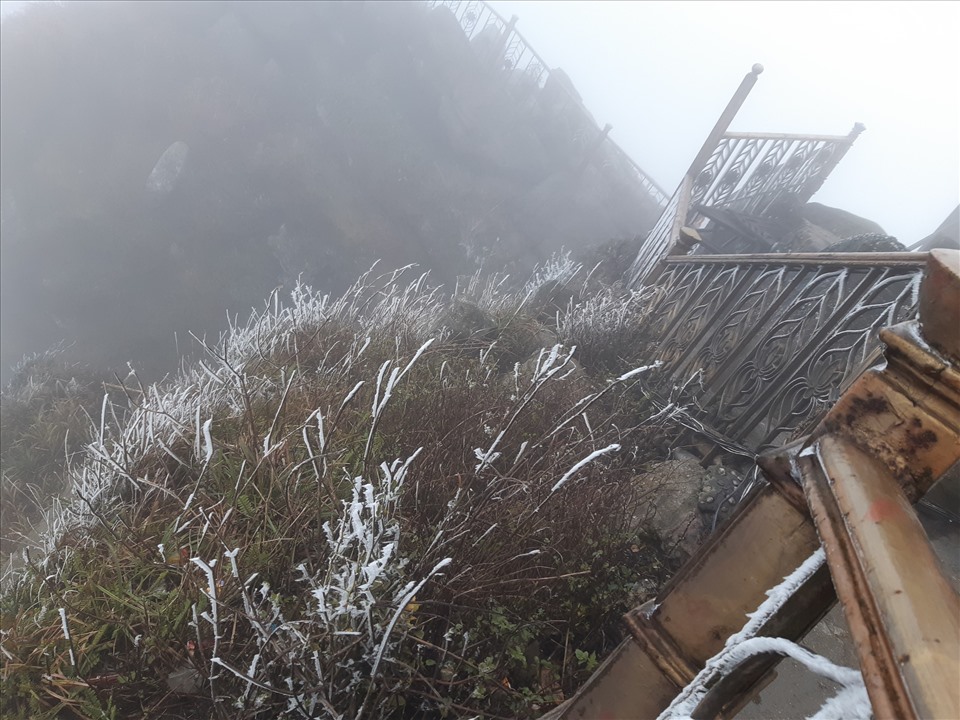 Cỏ cây trên đỉnh Yên Tử trắng xóa băng tuyết. Ảnh: CTV