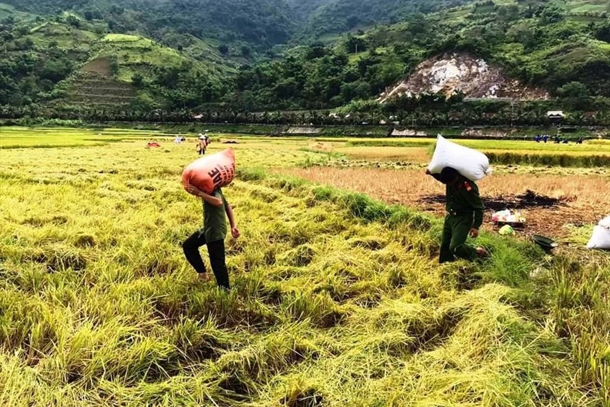 Nông nghiệp đang đóng góp lớn vào tăng trưởng GDP của đất nước. Ảnh: Nguyễn Anh Tuấn