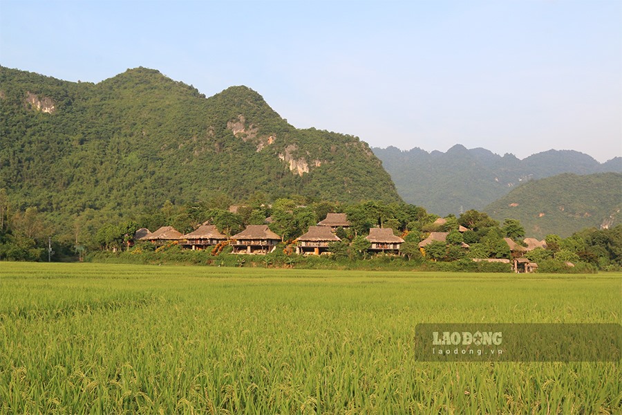 Resort yên bình này tọa lạc trên một ngọn đồi giữa những cánh đồng lúa và núi non, cách Bản Lác 20 phút đi bộ và Hang Chiều 2 km.