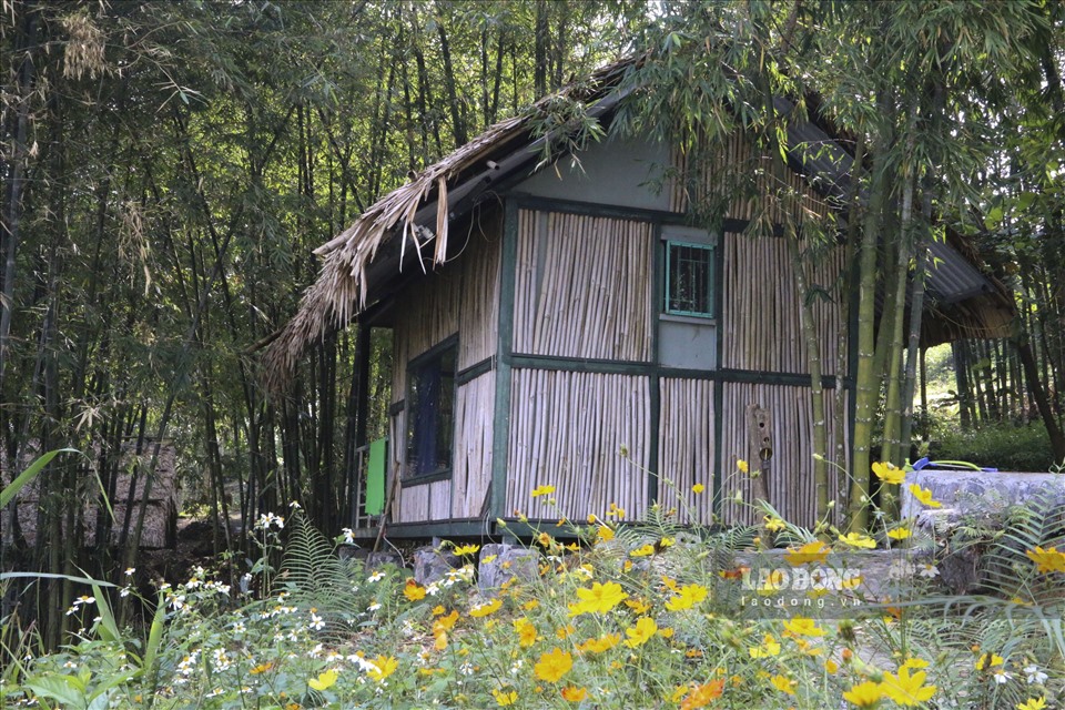 Những căn nhà gỗ nhỏ nép bên sườn đồi như muốn dành lại cho du khách tất cả không gian của núi rừng bình yên.