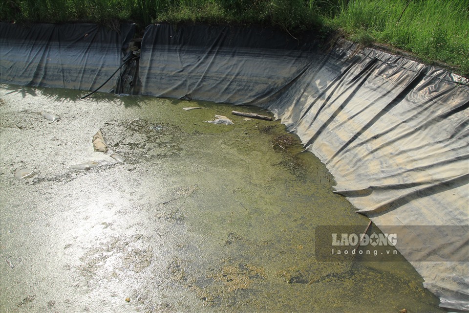 Ao chứa đã được gia cố bằng bạt như tình trạng thấm, mất nước vẫn diễn ra kéo theo toàn bộ công trình không sử dụng được. Ảnh: P.Q