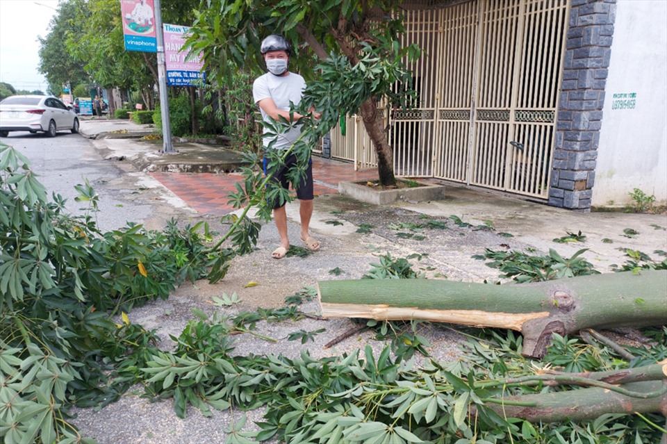 Ngoài neo đậu tàu thuyền, một số  người dân Hà Tĩnh cũng đã chủ động chặt tỉa cây cối để phòng bão đổ bộ. Ảnh: TT.