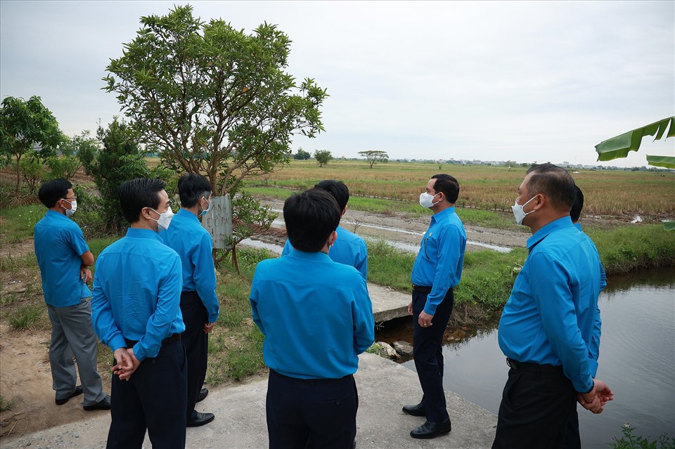 Lãnh đạo Tổng LĐLĐ thăm quan khu đất dự kiến dự án xây dựng thiết chế của công đoàn tại Thái Bình.