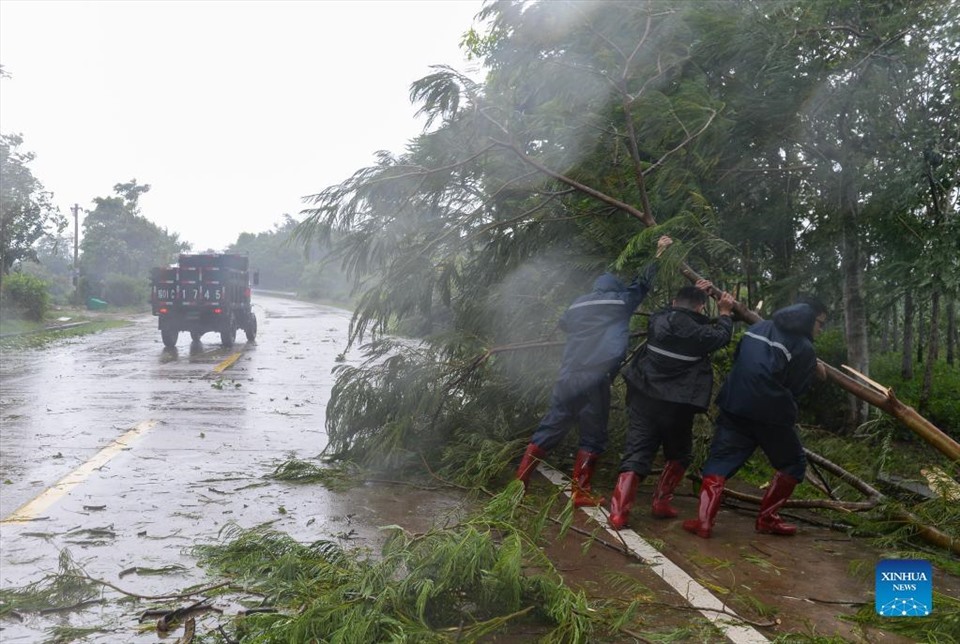 Công nhân dọn dẹp cây đổ do bão Kompasu tàn phá ở Vạn Ninh, tỉnh Hải Nam. Ảnh: Xinhua