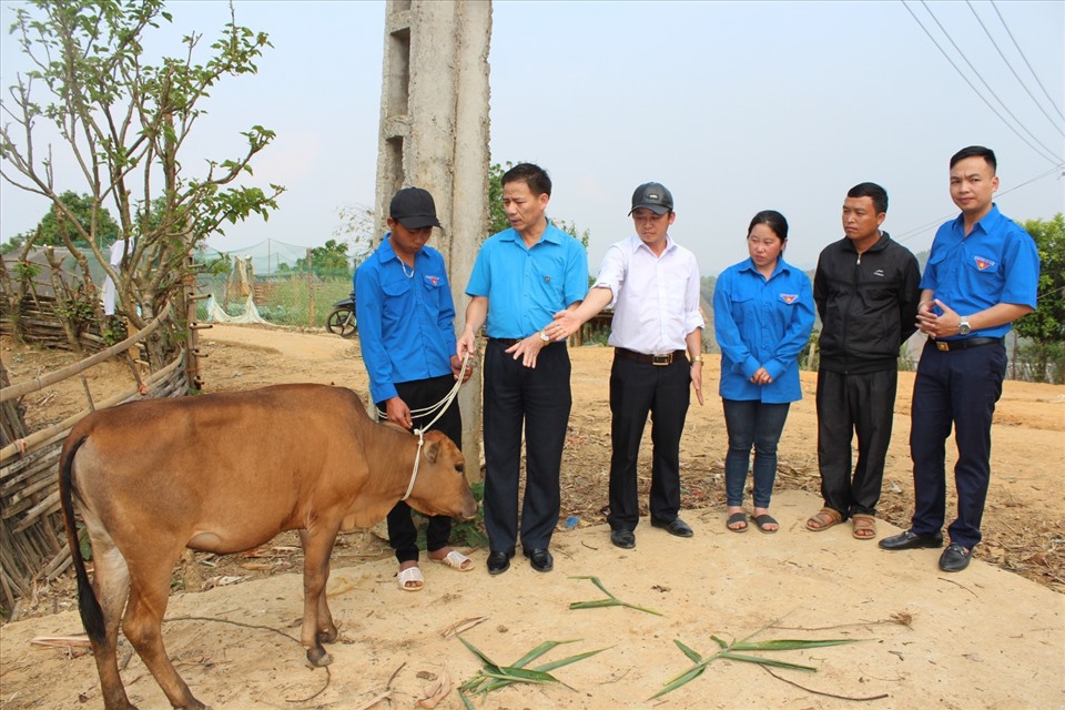 LĐLĐ tỉnh trao bò giống cho hộ dân có hoàn cảnh khó khăn tại xã Háng Lìa