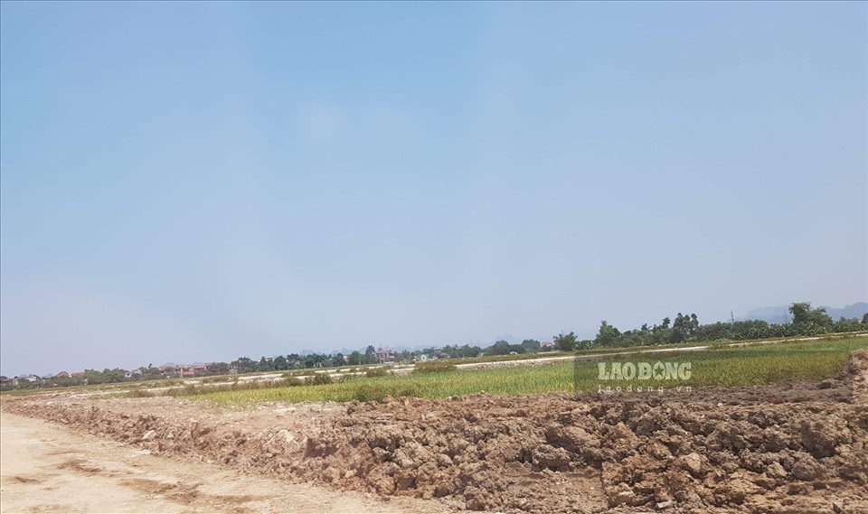 Việc đấu giá quyền sử dụng đất để lấy tiền trả nợ đầu tư xây dựng đồng nghĩa với việc những cánh đồng lúa ở Ninh Bình đang bị thu hẹp lại. Ảnh: NT