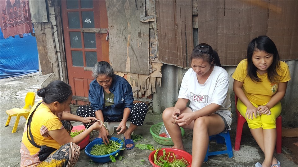 Chị Thanh và những người lao động nghèo nhặt nhạnh rau ở bãi bồi về để nấu ăn.