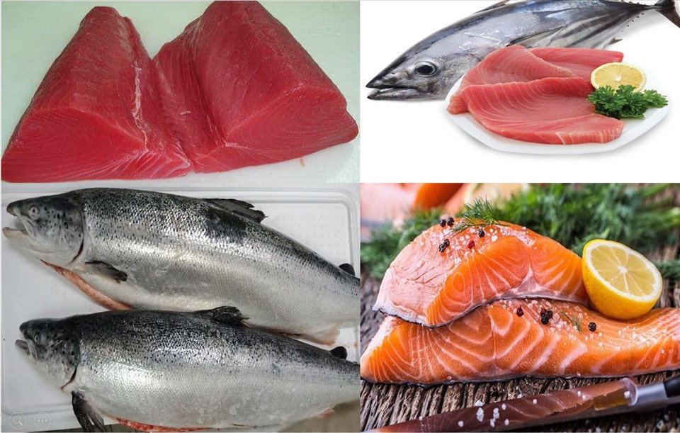 Cá hồi và cá ngừ tốt cho sức khỏe nhưng không nên sử dụng quá nhiều nếu đang muốn giảm cân. Ảnh: LDO