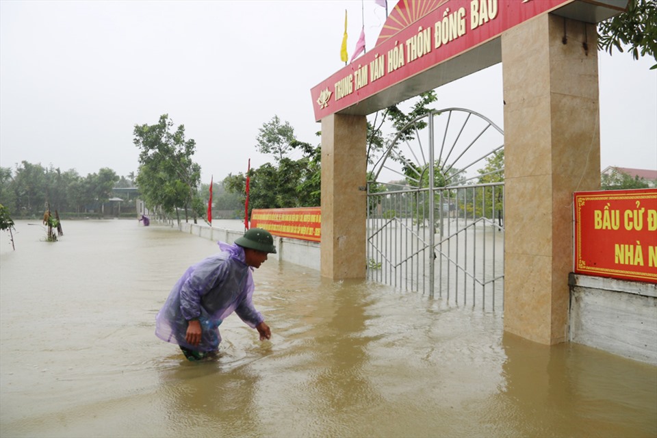 Nước lụt dâng nên người dân thôn Đồng Bàu xã Cẩm Thành thả lưới bắt cá ngay trên đường. Ảnh: TT.