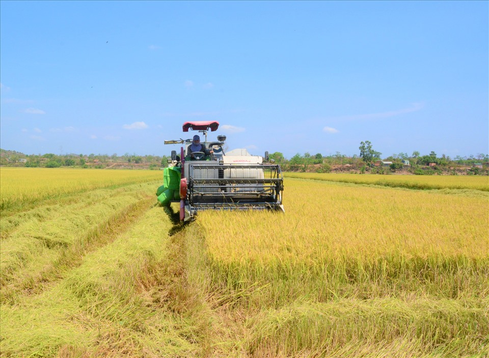 Nông dân xã Buôn Chóah sử dụng máy móc vào trồng lúa. Ảnh: Phan Tuấn
