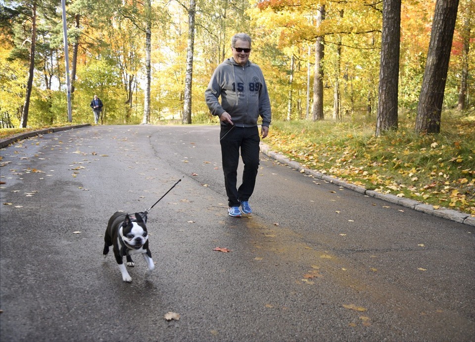 Nuôi một chú chó có thể giúp bạn tập thể dục nhiều hơn. Ảnh: AFP