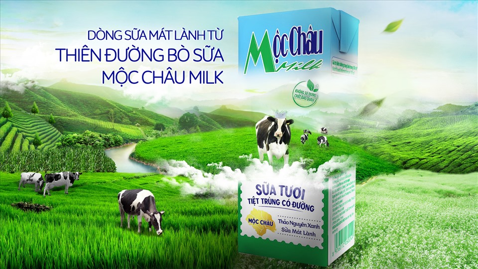 Mộc Châu Milk tự hào mang đến dòng sữa mát lành từ thiên đường bò sữa Mộc Châu