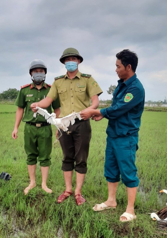 Lực lượng chức năng tại Quảng Bình đang phối hợp xử lý việc “tận diệt chim trời“. Ảnh: CTV