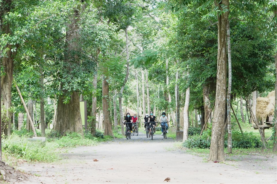 Du khách đạp xe giữa cánh rừng tự nhiên trong khu du lịch. Ảnh: T.A