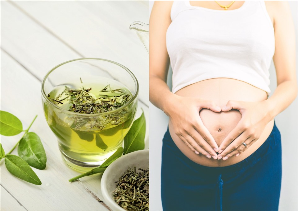 Lợi ích và tác hại của việc uống trà xanh khi mang thai. Ảnh minh họa: Hải Ngọc
