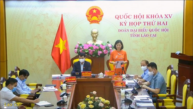 Đại biểu Nguyễn Thị Lan Anh - Đoàn ĐBQH tỉnh Lào Cai.