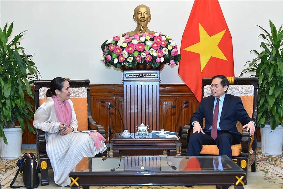 Bộ trưởng Ngoại giao Bùi Thanh Sơn tiếp bà Tridene Dobson, Đại sứ New Zealand tại Việt Nam. Ảnh: BNG