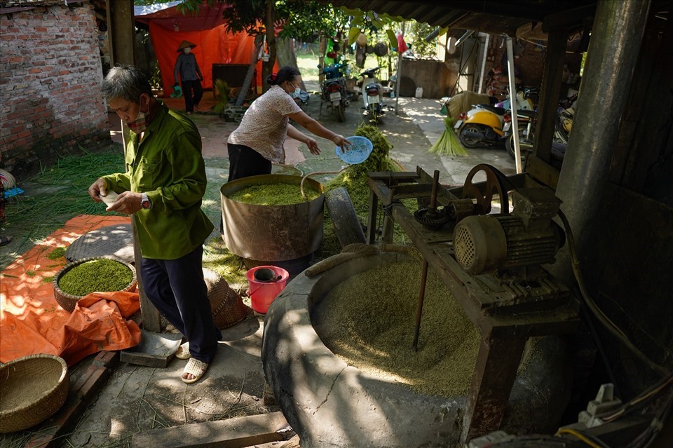 Bà Nguyễn Thị Lạng (Mễ Trì, Nam Từ Liêm, Hà Nội) - là thế hệ thứ 4 đã làm nghề cốm gia truyền chi biết: “Để cho ra lò một mẻ cốm ngon đạt chất lượng, ban đầu khâu chọn thóc phải ngon, sau đó quan trọng nhất là khi rang phải đều lửa. Lúc bắt đầu rang thì phải để to lửa, khi cốm tái thì phải giảm lửa, bởi nếu lửa to quá sẽ bị cháy và lửa nhỏ quá cốm sẽ không đạt yêu cầu dẻo. Mỗi mẻ rang kéo dài khoảng hơn 2 tiếng. Cốm rang xong sẽ được xát vỏ rồi phải mang giã ngay, không được để nguội. Trong lúc giã không được quá mạnh tay sẽ khiến cốm bị nát và phải luôn tay đảo đều cốm để có được những hạt cốm còn nguyên hạt, thơm ngon, xanh mướt. Tùy theo độ non của thóc, trung bình giã và sàng sảy từ 5 đến 8 lần mới thành cốm, sạch vỏ hoàn toàn. Cốm thành phẩm dẻo, thơm, mềm là đạt yêu cầu“. Ảnh: Phạm Chiểu