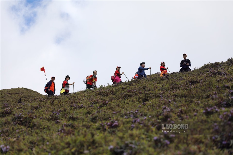 Đỉnh Tà Chì Nhù cao 2.979 m thuộc bản Xà Hồ, huyện Trạm Tấu, tỉnh Yên Bái có khí hậu khắc nghiệt nhưng lại là nơi lý tưởng để ngắm đại dương mây vào những ngày trời đẹp.