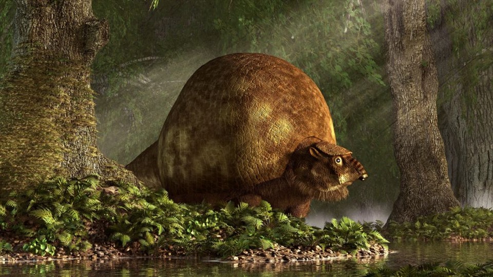 Hình minh họa một loài Glyptodon đã tuyệt chủng - sinh vật sống trong kỷ băng hà cuối cùng. Ảnh: Stocktrek/Getty