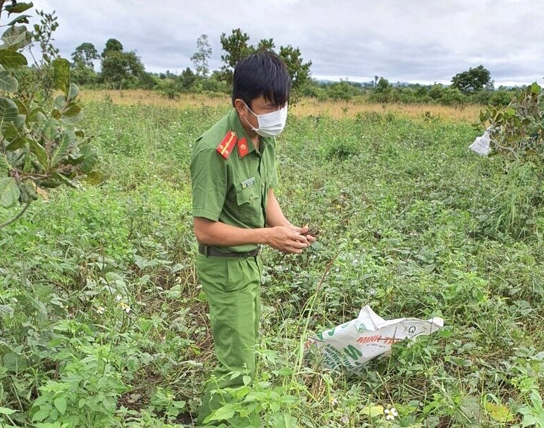 Các chiến sĩ công an thu hoạch mùa màng giúp người dân thôn Buôn Chóah. Ảnh: Minh Quỳnh