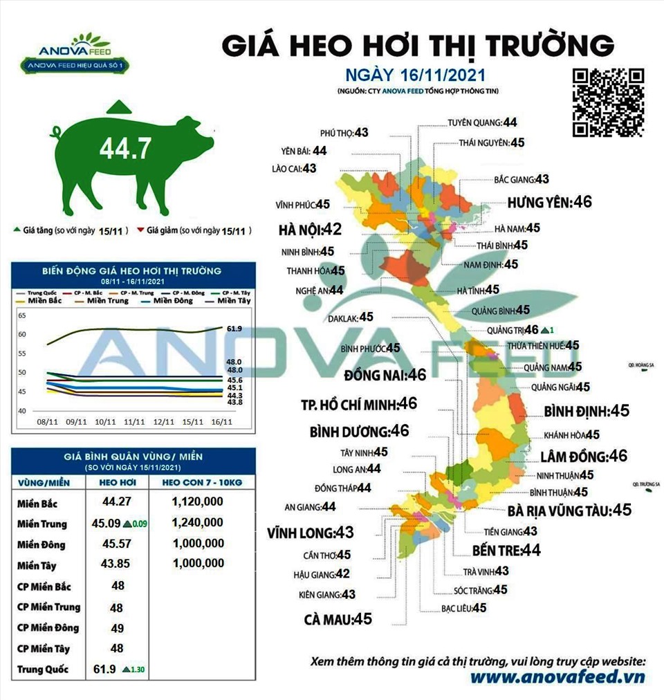 Giá lợn hơi ngày 16.11. Nguồn: Anova Feed
