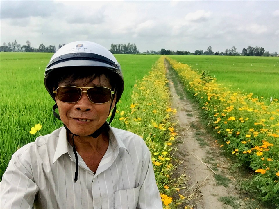 Ông Trần Hữu Huệ trong lần đi thăm ruộng nhà mình được trồng theo phương thức “ruộng lúa bờ hoa“. Ảnh: LT