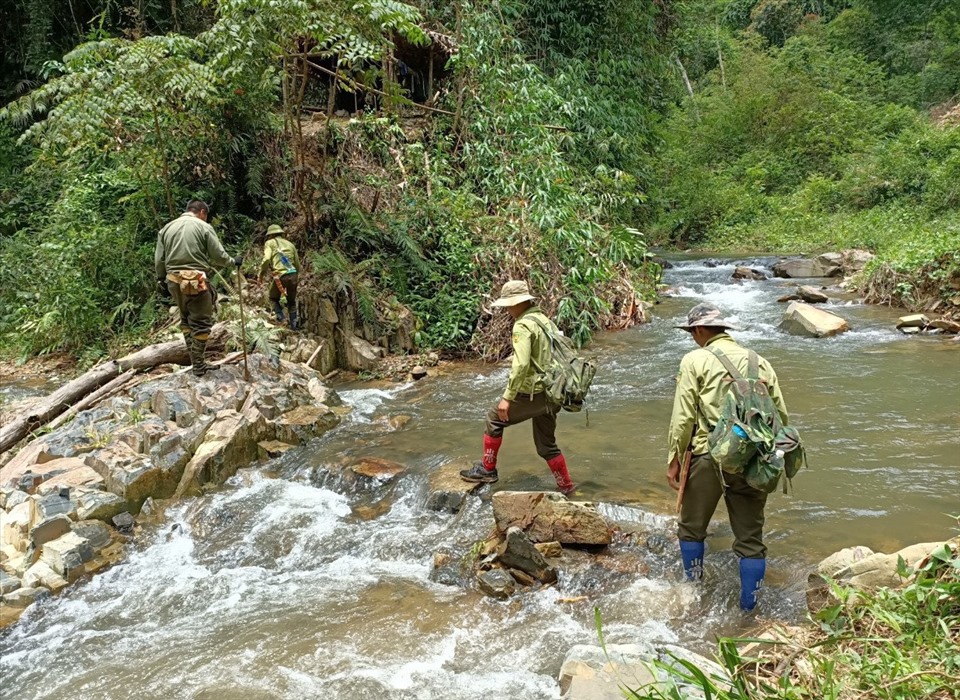 Hành trình tuần tra, các cán bộ quản lý bảo vệ rừng phải trèo đèo, lội suối trải qua bao hiểm nguy, vất vả. Ảnh: Phan Tuấn