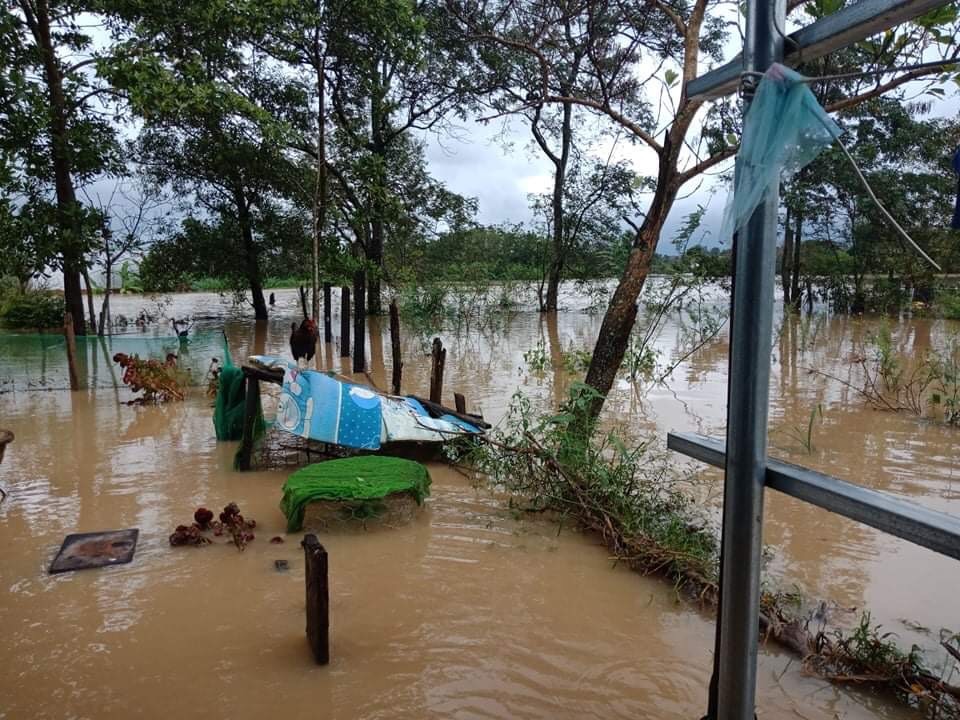 Mưa lũ những ngày qua đã gây thiệt hại lớn cho người dân trên địa bàn huyện M'Đrắk. Ảnh: T.X