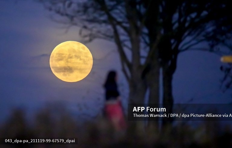 Baden-Wuerttemberg, Uttenweiler, Đức. Ảnh: AFP