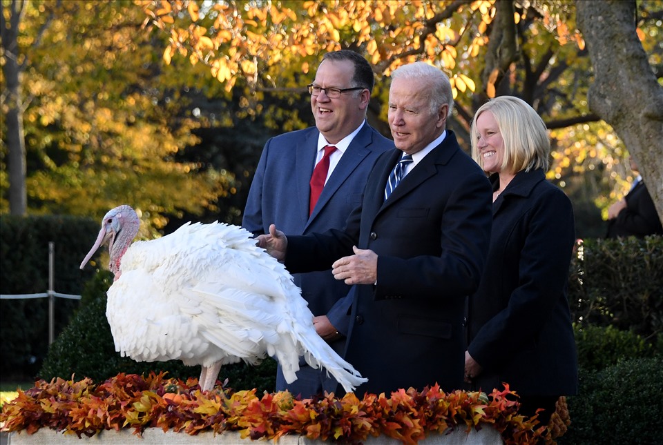 Tổng thống Joe Biden ân xá gà tây