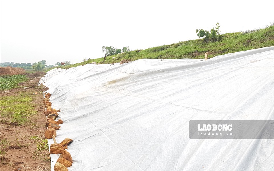 Tuyến đê hữu sông Đáy đoạn qua địa bàn xã Hồi Ninh, huyện Kim Sơn (Ninh Bình) xuất hiện tình trạng sạt lở. Ảnh: NT
