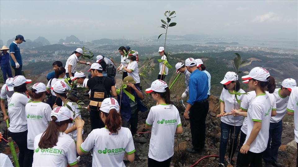 Trồng cây xanh nhằm hoàn nguyên, bảo vệ môi trường trên khai trường thuộc Công ty CP than Núi Béo. Ảnh: Nguyễn Hùng