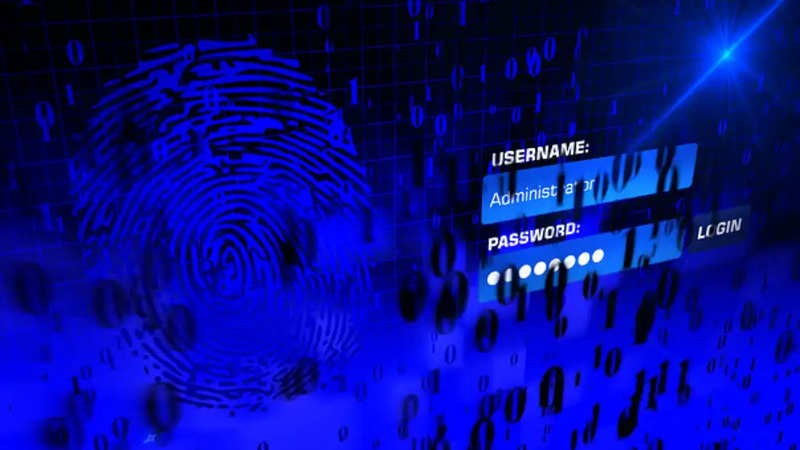 Sử dụng mật khẩu dễ đoán làm gia tăng nguy cơ bị tấn công mạng. Ảnh: NordPass