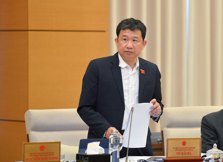 Chủ nhiệm Ủy ban Đối ngoại của Quốc hội Vũ Hải Hà trình bày báo cáo thẩm tra.