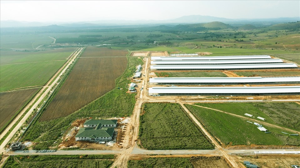 Trang trại đầu tiên trong Tổ hợp bò sữa Lao-Jagro tại Xiêng Khoảng của Vinamilk đã hoàn thành các hạng mục xây dựng cơ bản (ảnh chụp tháng 5/2021).