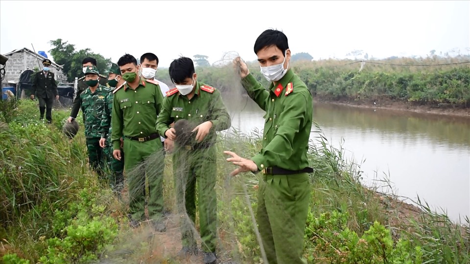 Lực lượng chức năng gỡ bỏ lưới bẫy chim tại khu vực bãi bồi ven biển huyện Kim Sơn. Ảnh: NT