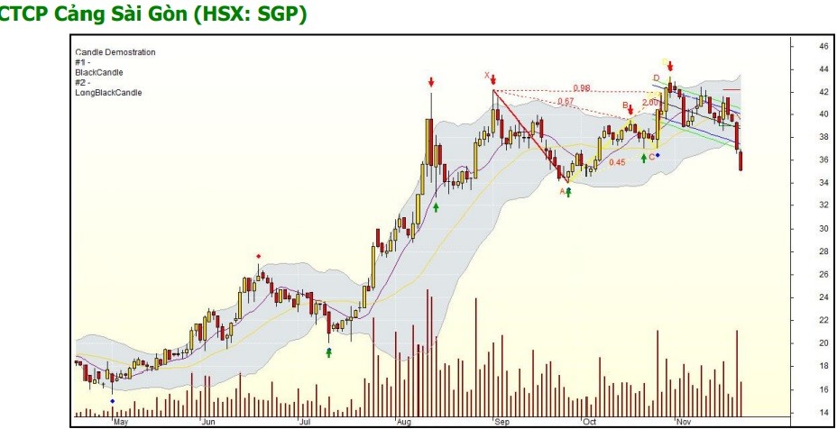 Nguồn: Agriseco Research.