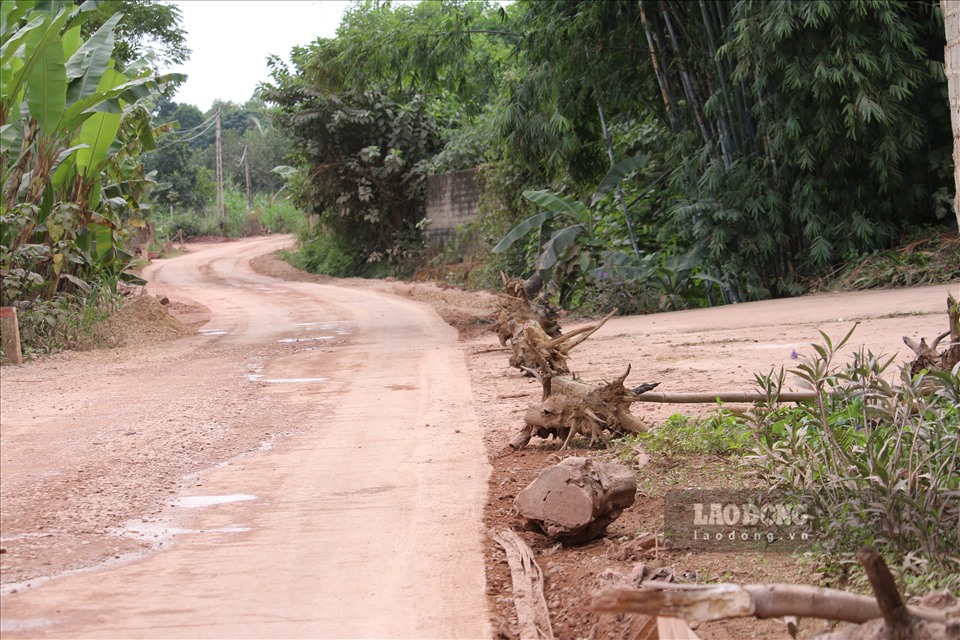 Hàng “cột mốc bất đắc dĩ” bằng gốc cây khô được người dân đặt ra để tránh xe tải phá nát lề đường.