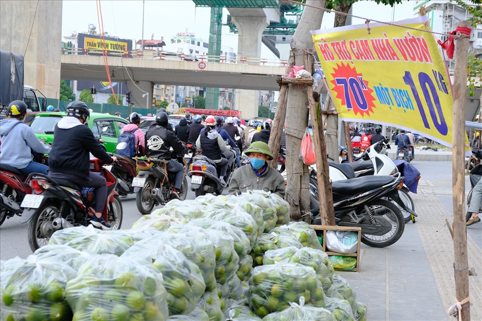 Điểm bán cam “hỗ trợ nhà vườn” được đặt khắp các tuyến phố Hà Nội. Ảnh: Phan Cúc